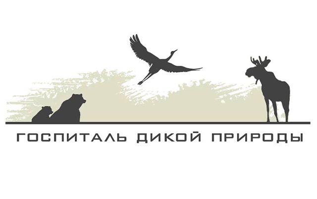 Ветеринарный госпиталь