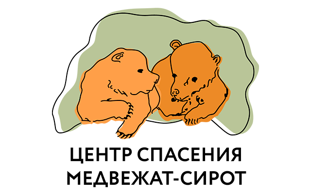 Медведи-сироты